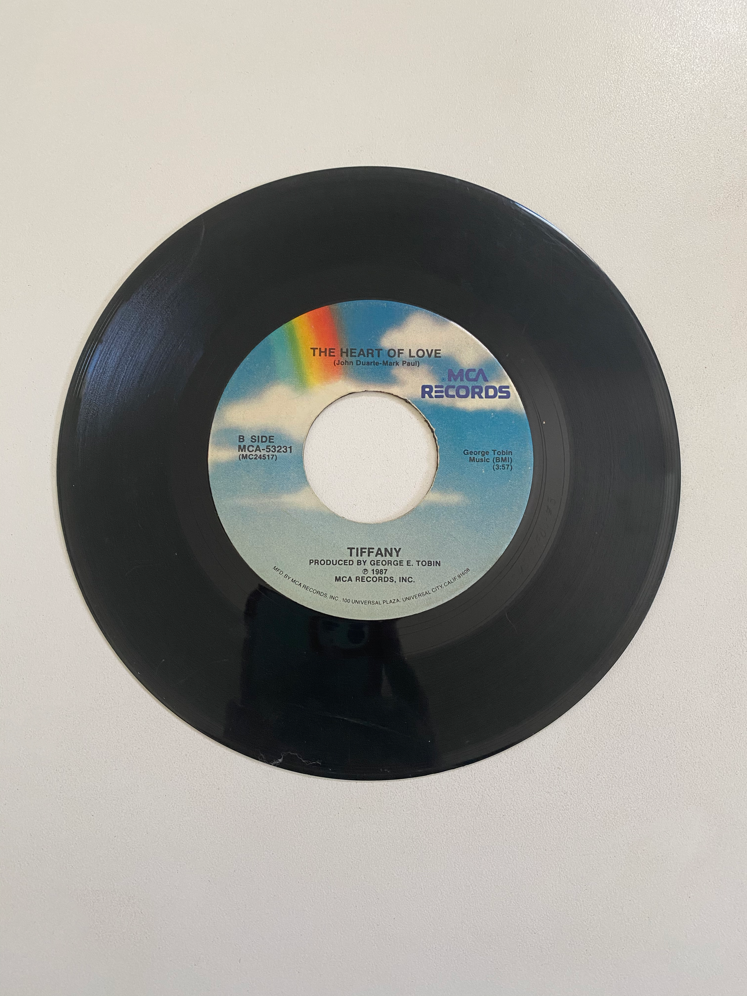 Tiffany - Could've Been | 45 The Vintedge Co.