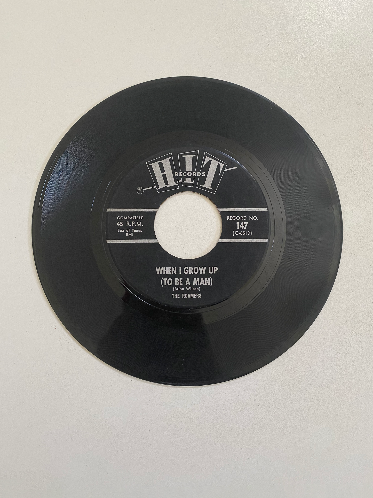 Roamers, The - When I Grow Up (To Be A Man) | 45 The Vintedge Co.