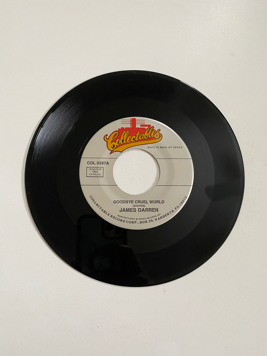 James Darren - Goodbye Cruel World | 45 The Vintedge Co.