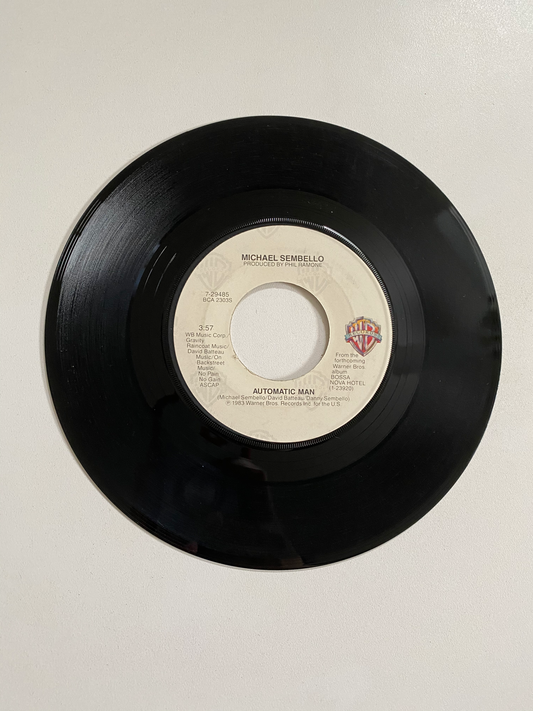 Michael Sembello - Summer Lovers | 45 The Vintedge Co.