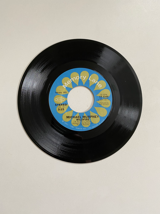 Michael Murphey - Wildfire | 45 The Vintedge Co.