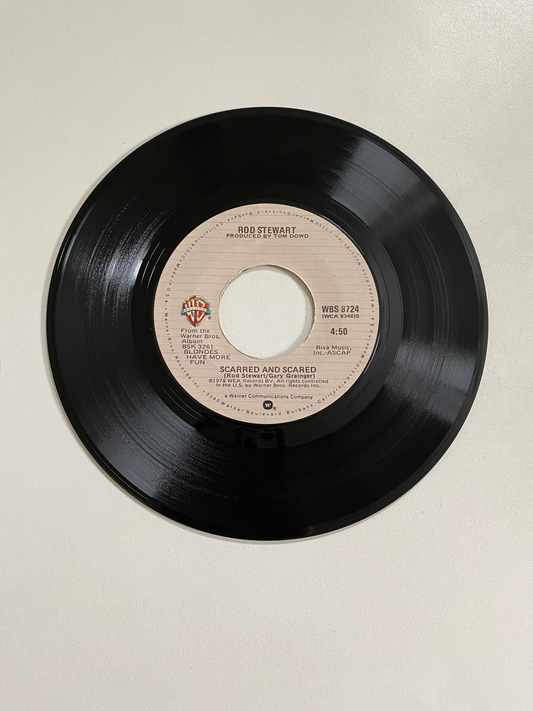 Rod Stewart - Do Ya Think I'm Sexy? | 45 The Vintedge Co.