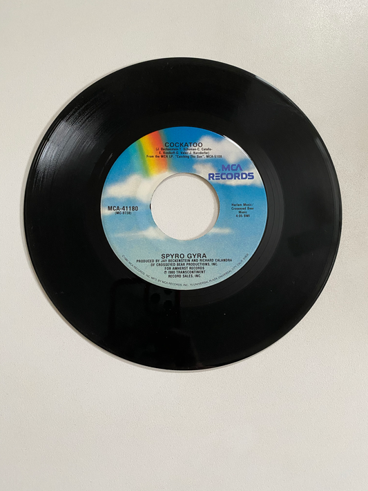 Spyro Gyra - Catching the Sun | 45 The Vintedge Co.