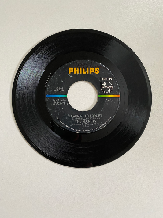 Secrets, The - Boy Next Door | 45 The Vintedge Co.