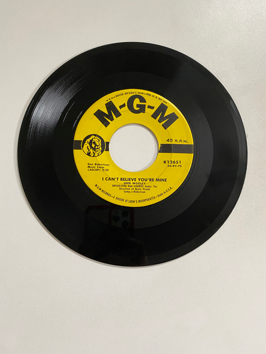 Sheb Wooley - The Purple People Eater | 45 The Vintedge Co.