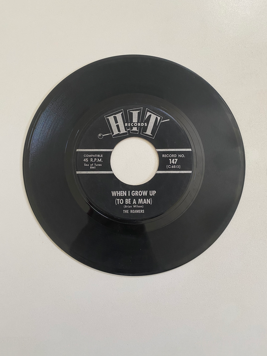 Roamers, The - When I Grow Up (To Be A Man) | 45 The Vintedge Co.