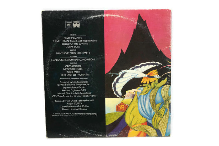 MOUNTAIN - Vintage Vinyl Record Album - TWIN PEAKS The Vintedge Co.